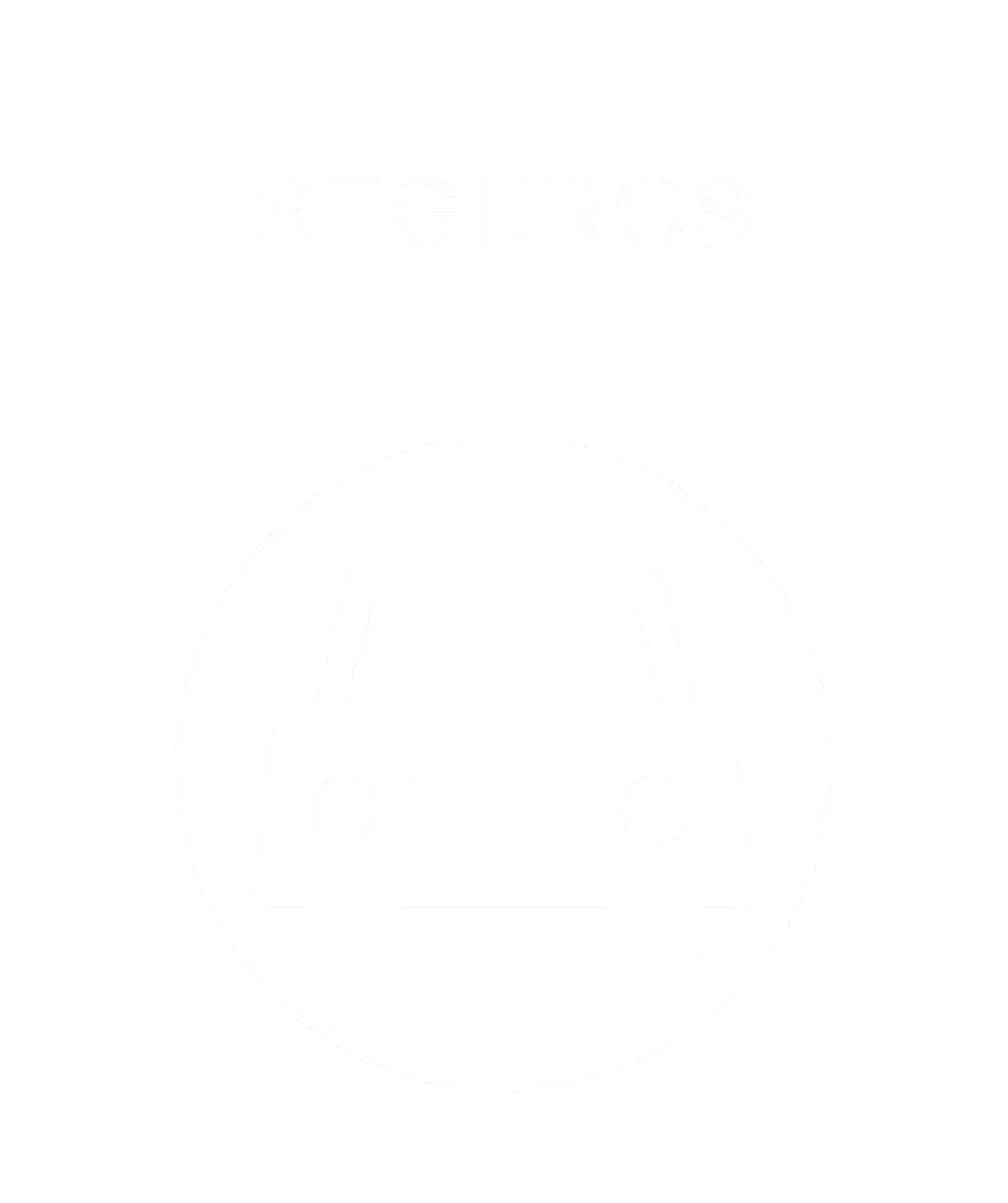 Seguros